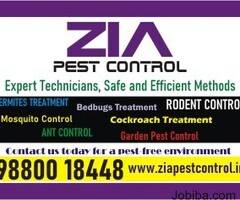 Rodent Control  | Rodent Treatment | Pest control services | 1825