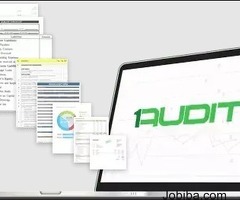 Audit Program