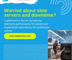 Elevate Your Business with LaabamOnes Server Symphony