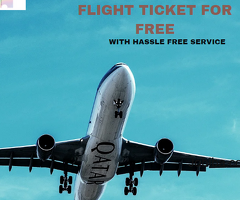 how to make dummy flight ticket for free