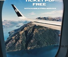 fake flight ticket pdf free