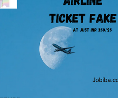 Airline ticket fake