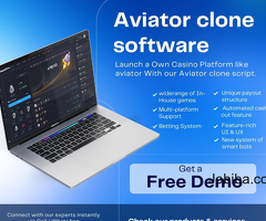 Start Your Own Million-Dollar Business with Aviator Clone Script