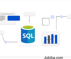 Basic SQL Queries: Unlock Data Insights