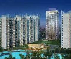 Real Estate Consultant Company Noida