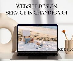 Website Design Service In Chandigarh