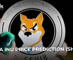 shiba inu price prediction | shiba inu coin future