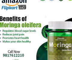 Moringa Oleifera Capsule prevents diabetes and respiratory problems