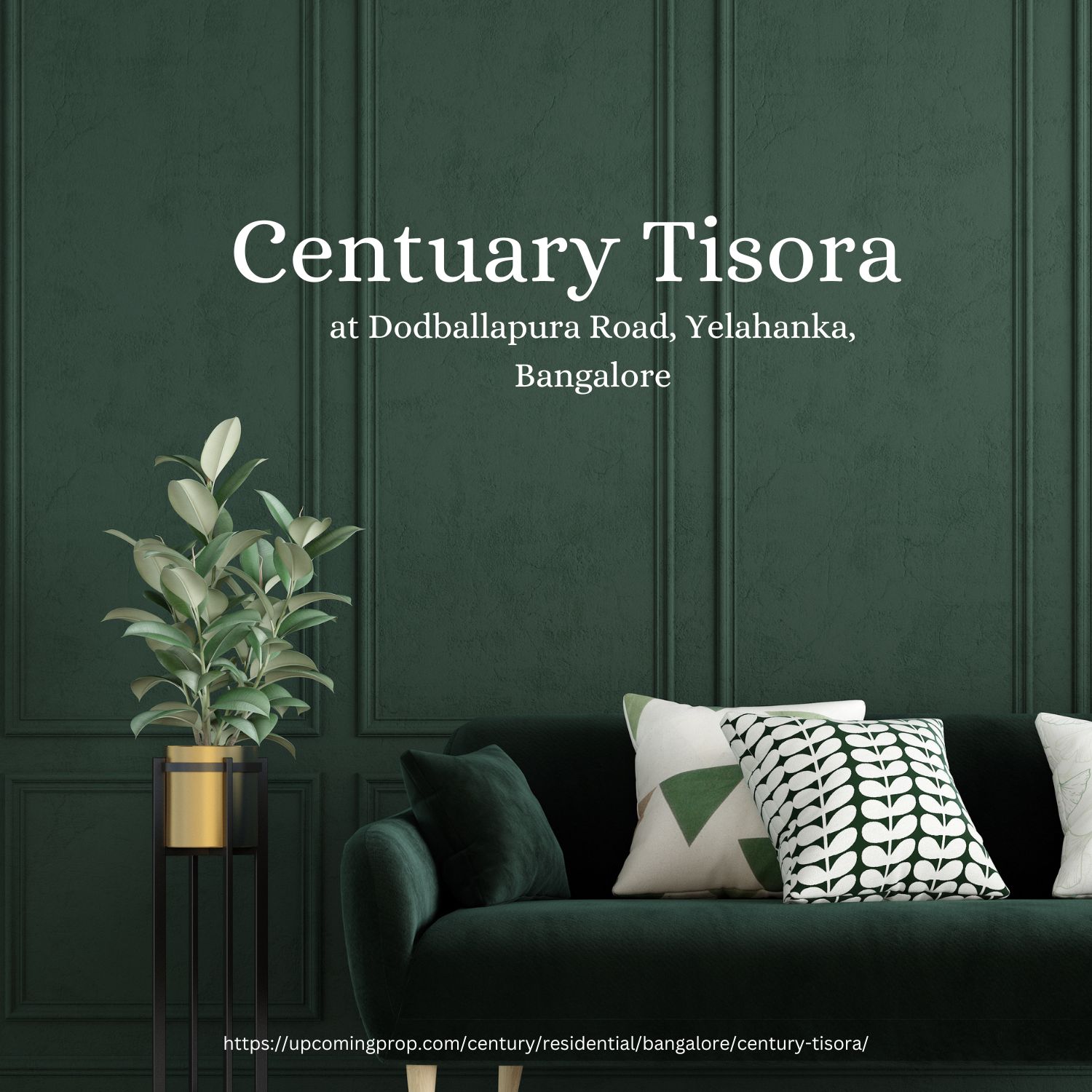Century Tisora